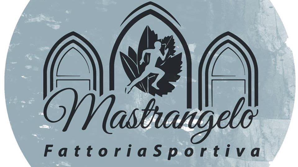 logo-mastrangelo