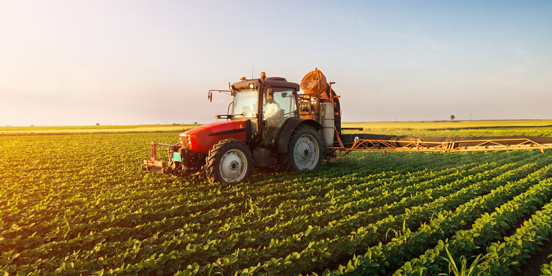 agricoltura
